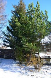 Енисейск. 15 октября 2015 года.